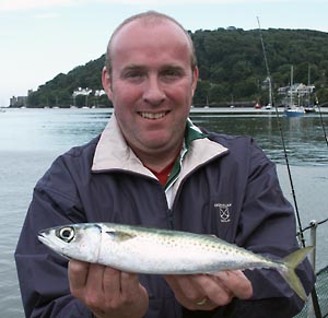 Scomber Japonicus Chub Mackerel