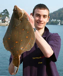 Paul%20Lingham%20Plaice%203-8-8%20002%20300h%20c%20p%20Sh%20JPEG.jpg